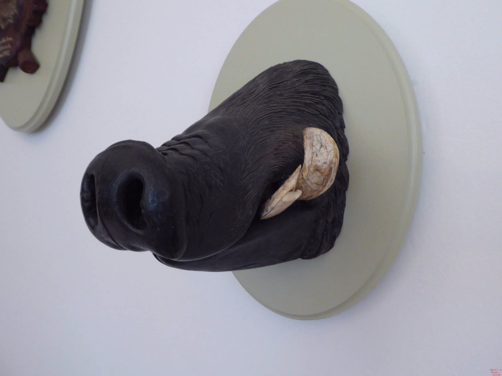 Wildschweintrophäe