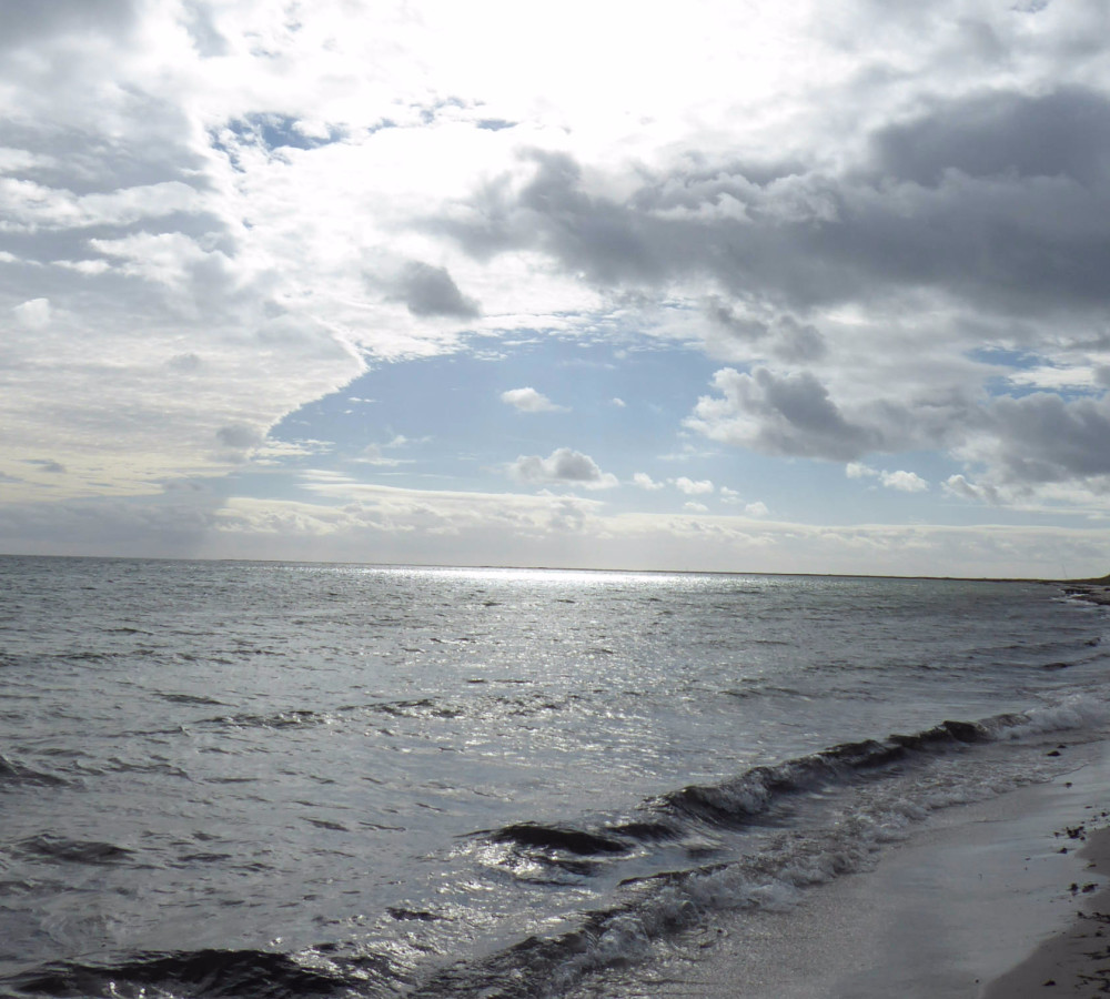 Am Südstrand von Falsterbo