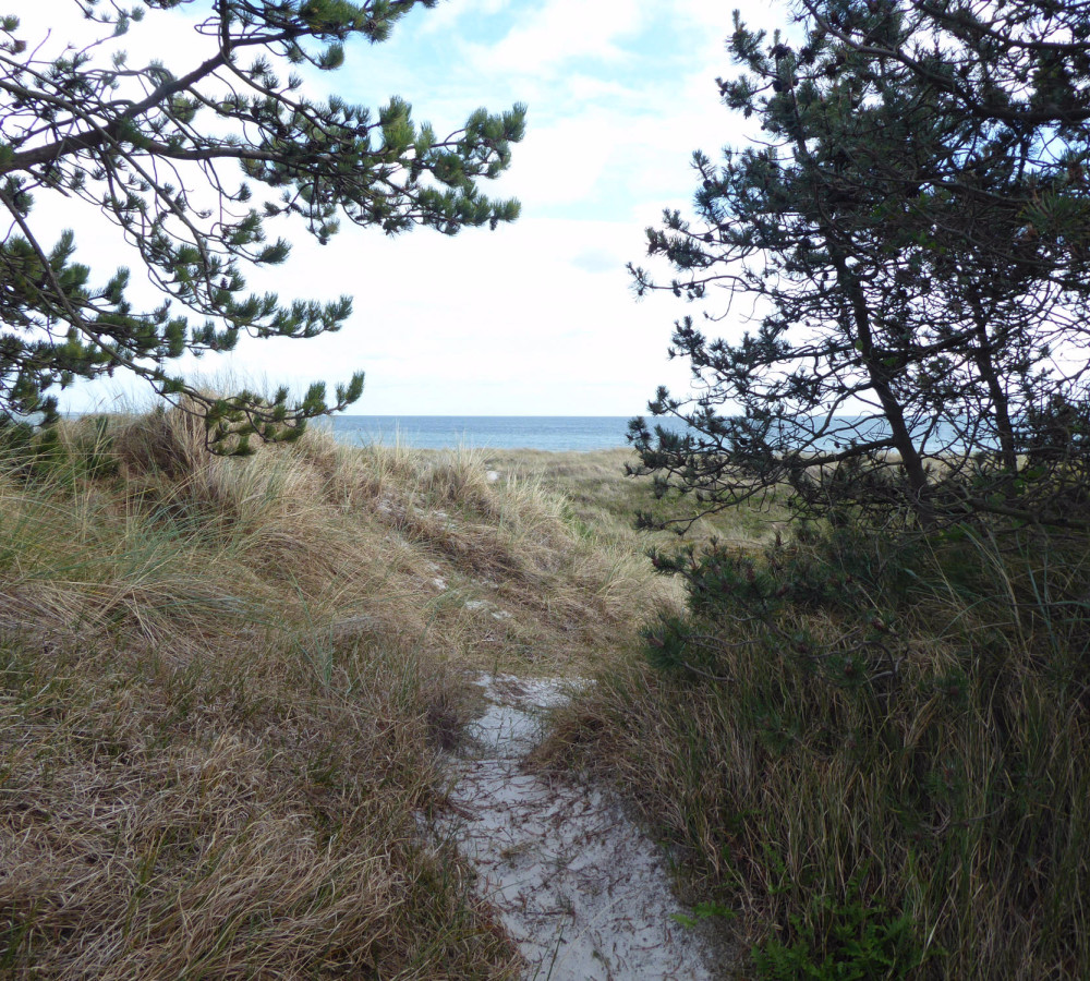 Falsterbo