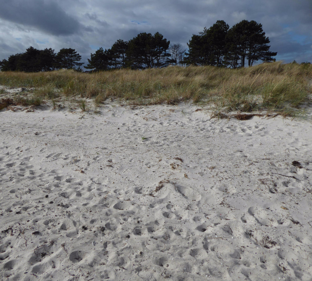 Falsterbo