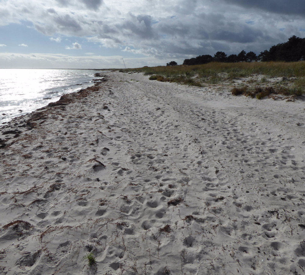 Falsterbo